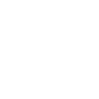 Broadcast SDI Cameras