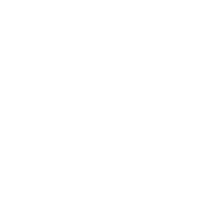 Head Mounted Cameras